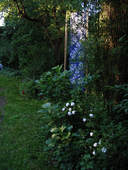 Blau